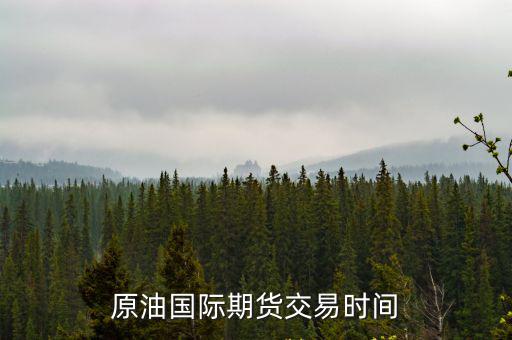 國際期貨原油怎么交易時間表，國際原油期貨的交易時間