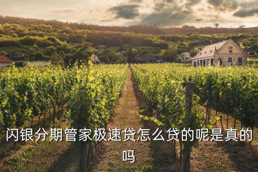 閃銀分期管家極速貸怎么貸的呢是真的嗎