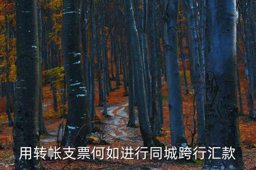 用轉(zhuǎn)帳支票何如進行同城跨行匯款