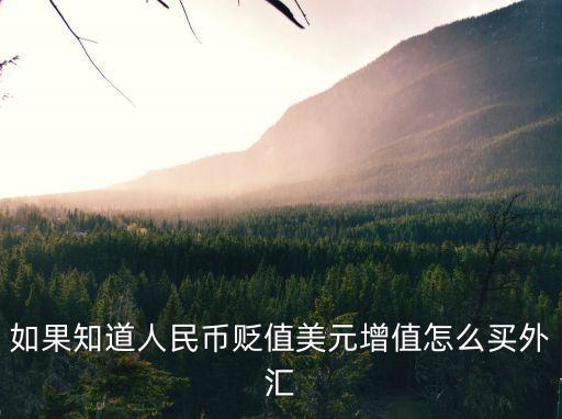 如果知道人民幣貶值美元增值怎么買外匯
