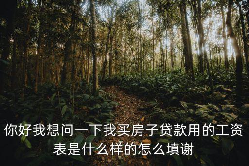 貸款工資單怎么格式，辦房貸 還要拿前三個月的個人工資單 怎么弄啊具體格式 不懂啊 請高手