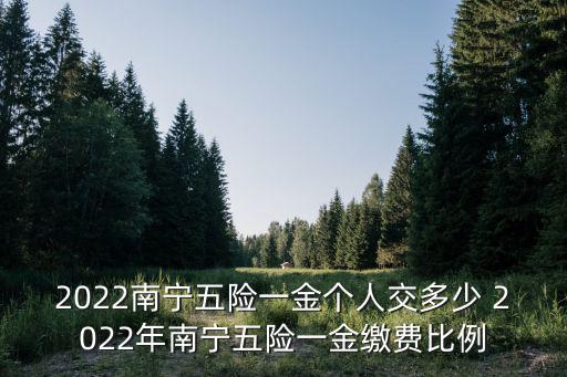 2022南寧五險一金個人交多少 2022年南寧五險一金繳費比例