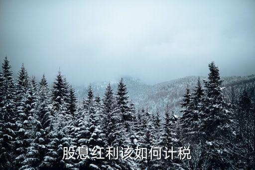 股息紅利該如何計(jì)稅