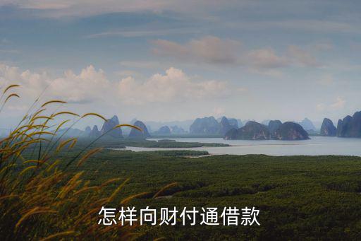 怎樣向財(cái)付通借款