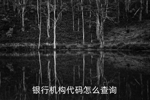 怎么查中國(guó)銀行代碼，中國(guó)銀行銀行代碼