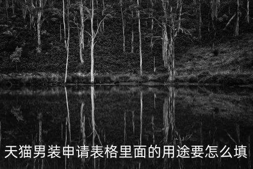 天貓男裝申請(qǐng)表格里面的用途要怎么填