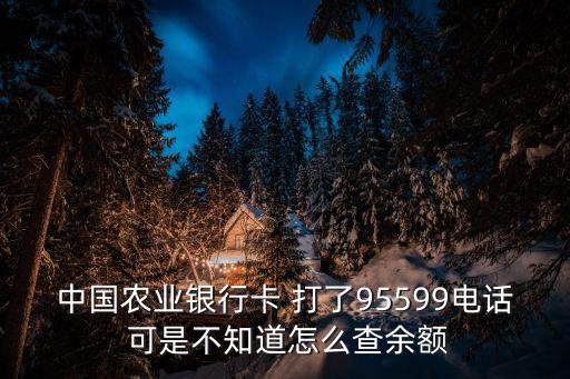 打電話農(nóng)行怎么查余額，中國農(nóng)業(yè)銀行卡 打了95599電話 可是不知道怎么查余額