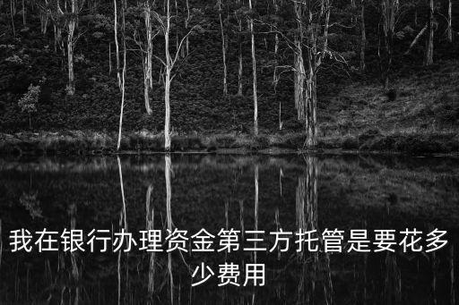 我在銀行辦理資金第三方托管是要花多少費(fèi)用