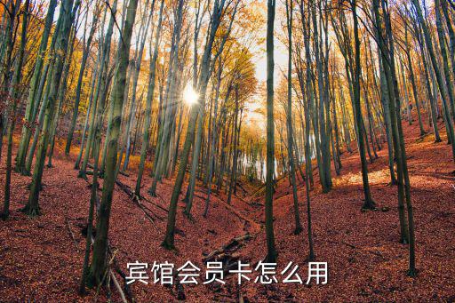 喜達(dá)屋會員卡怎么用，賓館會員卡怎么用