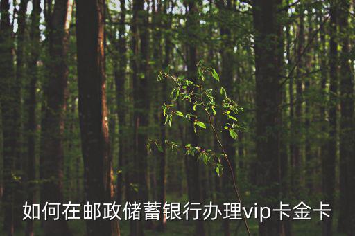 郵儲(chǔ)銀行怎么辦金卡，中國(guó)郵政儲(chǔ)蓄金卡如何辦理