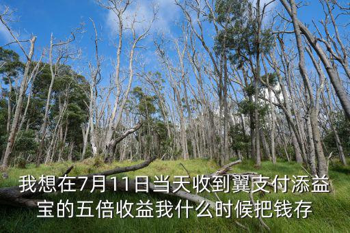 我想在7月11日當(dāng)天收到翼支付添益寶的五倍收益我什么時(shí)候把錢存
