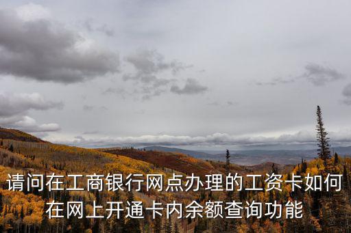 請問在工商銀行網(wǎng)點辦理的工資卡如何在網(wǎng)上開通卡內(nèi)余額查詢功能