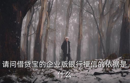借貸寶授信怎么回事，借貸寶有初始授信額度嗎