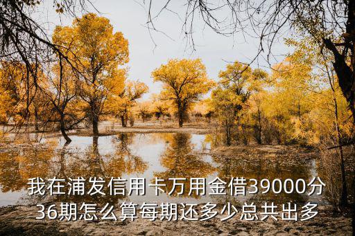 我在浦發(fā)信用卡萬用金借39000分36期怎么算每期還多少總共出多