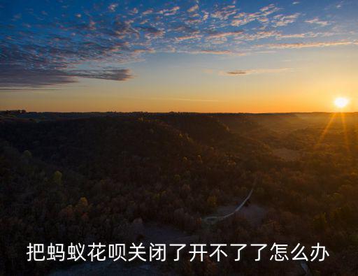 花唄關(guān)閉開通不了怎么辦，把螞蟻花唄關(guān)閉了開不了了怎么辦