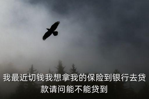 我最近切錢我想拿我的保險(xiǎn)到銀行去貸款請(qǐng)問能不能貸到