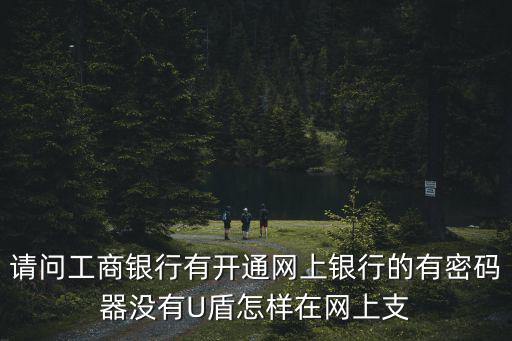 請問工商銀行有開通網(wǎng)上銀行的有密碼器沒有U盾怎樣在網(wǎng)上支