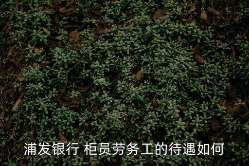 昆明浦發(fā)銀行柜員待遇怎么樣，浦發(fā)銀行 柜員勞務(wù)工的待遇如何