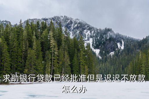 求助銀行貸款已經(jīng)批準但是遲遲不放款怎么辦