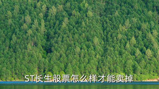 st股票怎么賣掉，st慧業(yè)股票怎么賣出去