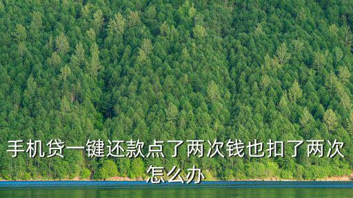 手機(jī)貸一鍵還款點了兩次錢也扣了兩次怎么辦