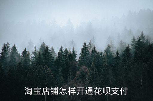 怎么在淘寶使用花唄付款，淘寶店鋪怎樣開(kāi)通花唄支付