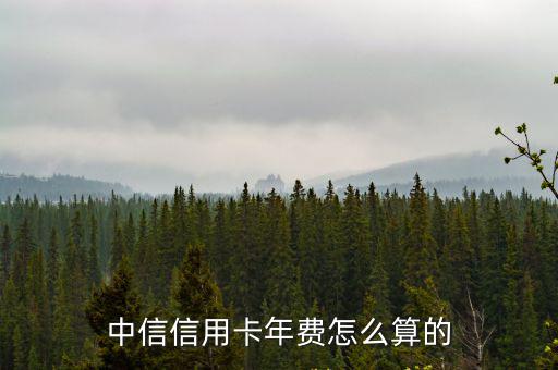 中信信用卡年費怎么算的