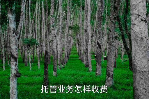 銀行托管資金怎么收費(fèi)，托管業(yè)務(wù)怎樣收費(fèi)