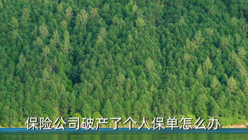 個(gè)人破產(chǎn) 保單該怎么辦，個(gè)人破產(chǎn)后在保險(xiǎn)公司購買得理財(cái)險(xiǎn)怎么處理