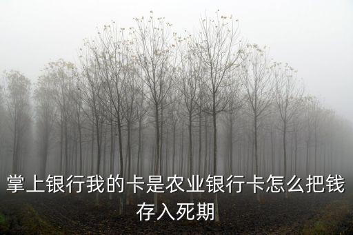 掌上銀行我的卡是農(nóng)業(yè)銀行卡怎么把錢(qián)存入死期