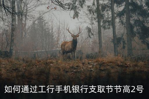 如何通過(guò)工行手機(jī)銀行支取節(jié)節(jié)高2號(hào)