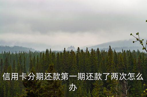 信用卡分期還款第一期還款了兩次怎么辦