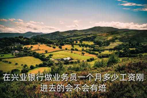 在興業(yè)銀行做業(yè)務(wù)員一個(gè)月多少工資剛進(jìn)去的會(huì)不會(huì)有培