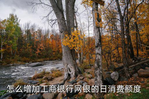怎么增加工商銀行網(wǎng)銀的日消費(fèi)額度