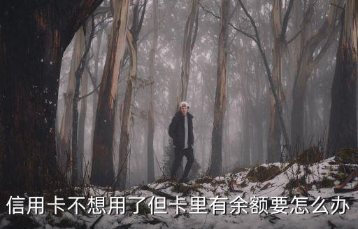 信用卡有余額怎么辦理，建行信用卡到期已不能消費(fèi)但是卡內(nèi)還有余額余額怎么辦  搜