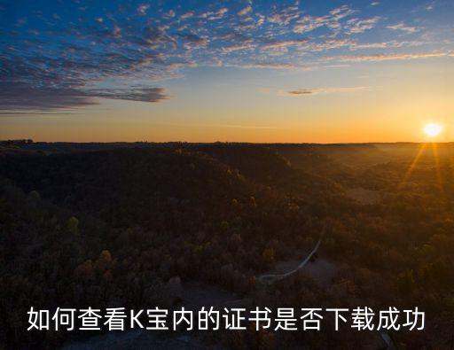 如何查看K寶內(nèi)的證書(shū)是否下載成功