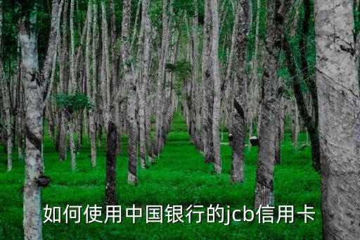 jcb卡怎么用，JCB是什么