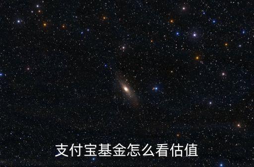支付寶基金怎么看估值