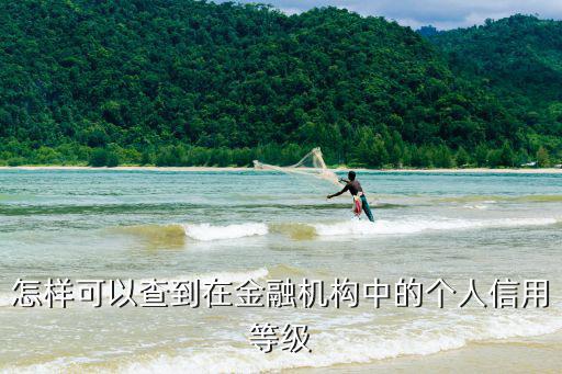 怎樣可以查到在金融機(jī)構(gòu)中的個(gè)人信用等級(jí)