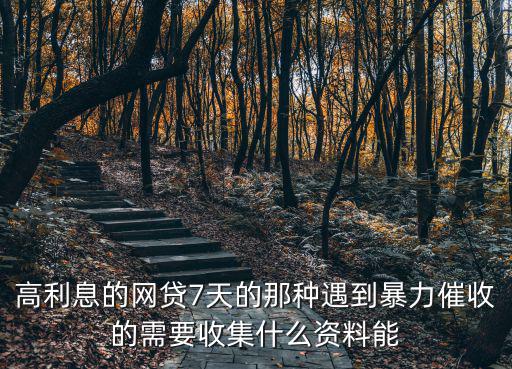 高利息的網(wǎng)貸7天的那種遇到暴力催收的需要收集什么資料能