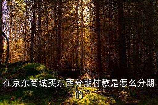 京東商城怎么分期購(gòu)物，在京東商城買(mǎi)東西分期付款是怎么分期的
