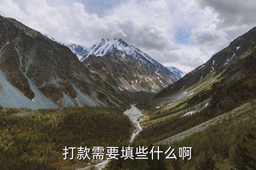 銀行打錢怎么填單子，銀行匯款應(yīng)填什么單據(jù)
