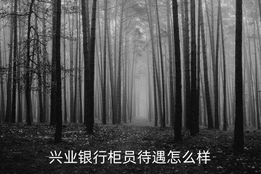 興業(yè)銀行柜員待遇怎么樣
