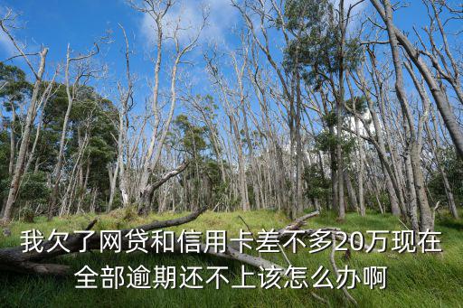 月光族逾期了怎么還款，我的信用卡
