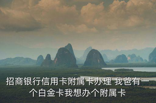 招商銀行信用卡附屬卡辦理 我爸有一個白金卡我想辦個附屬卡