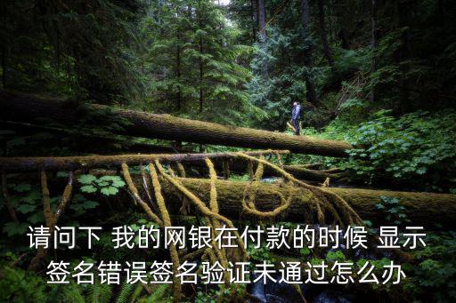 請(qǐng)問(wèn)下 我的網(wǎng)銀在付款的時(shí)候 顯示簽名錯(cuò)誤簽名驗(yàn)證未通過(guò)怎么辦