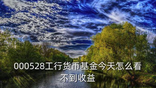 000528工行貨幣基金今天怎么看不到收益