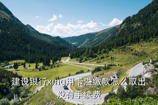 建設(shè)銀行xing用卡溢繳款怎么取出沒有手續(xù)費(fèi)
