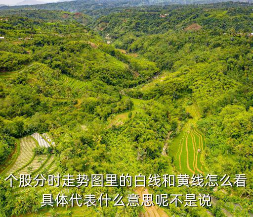 個股分時(shí)走勢圖里的白線和黃線怎么看具體代表什么意思呢不是說