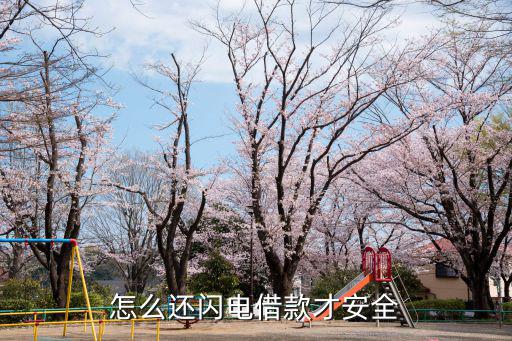 怎么還閃電借款才安全